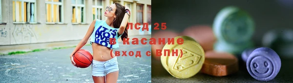 стафф Арсеньев