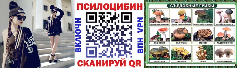 Псилоцибиновые грибы прущие грибы  гидра   Тутаев 